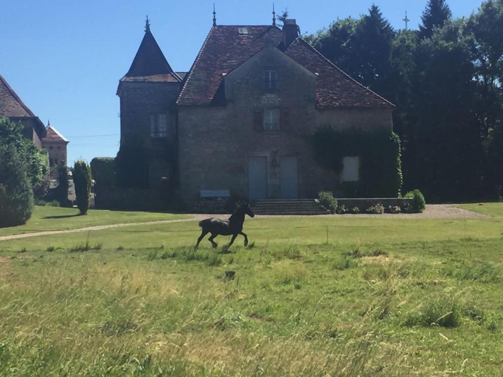 Au Chateau Apartman Miserey-Salines Kültér fotó